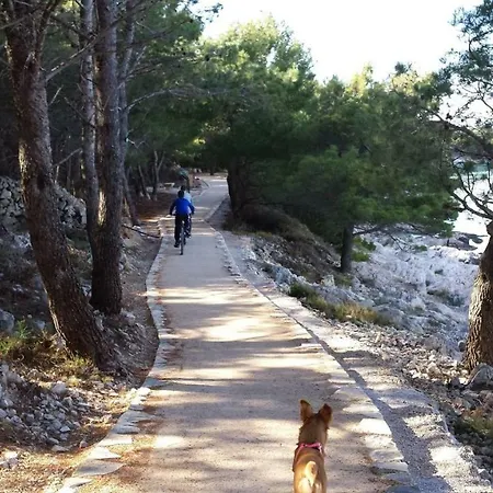 Tatil Evi Holiday Luce Jezera